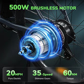 isinwheel M10 500W Electric Commuter Bike